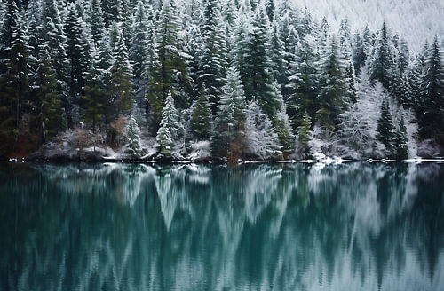 Winter magic on the lake