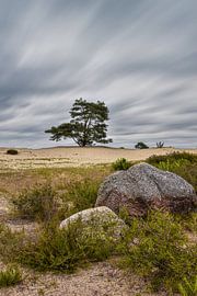 Typisch Drenthe tijdens storm van Dieverdoatsie Fotografie