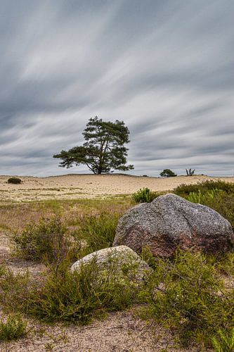 Typisch Drenthe tijdens storm