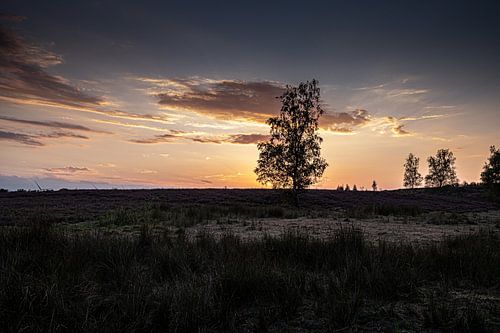 Zonsondergang op de hei/zandvlakte