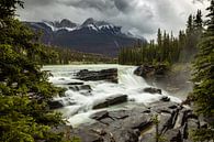 De Athabasca Falls in Jasper National Park in Canada van Roland Brack thumbnail