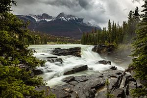 Die Athabasca Falls im Jasper Nationalpark in Kanada