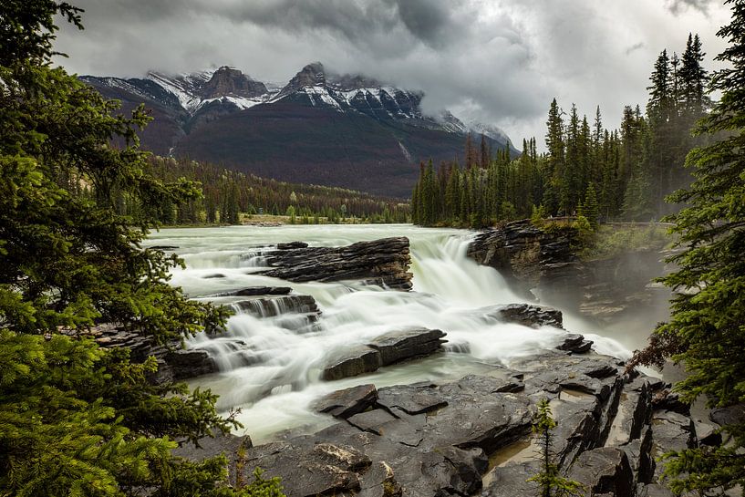 De Athabasca Falls in Jasper National Park in Canada van Roland Brack