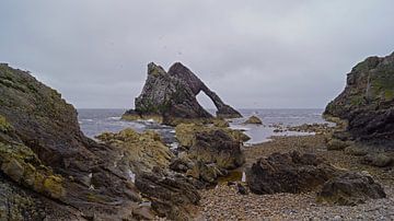 Bow Fiddle Rock Rotsboog in Schotland