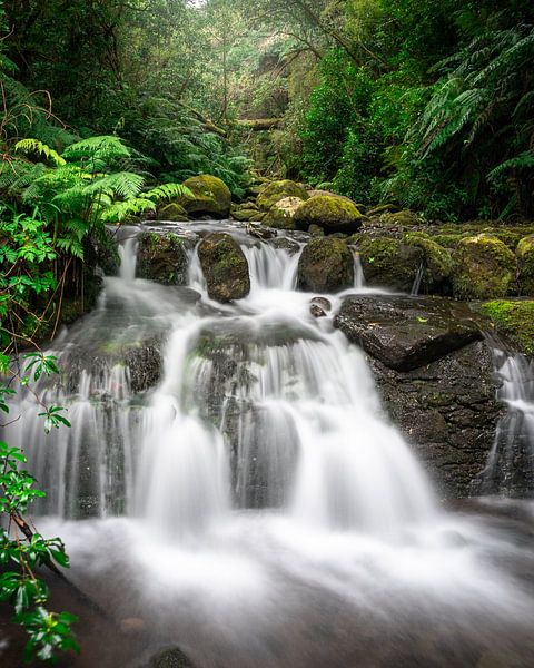 Waterfall in Madeira (Queimadas Forest Park in Santana) by Jolanda Aalbers