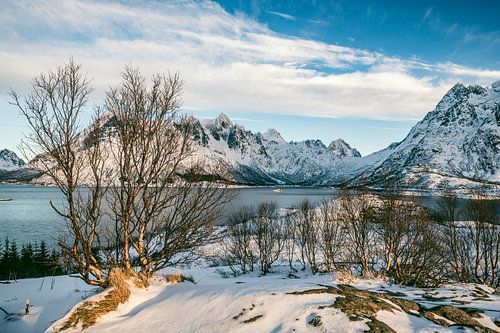 Panoramazicht op de Austnesfjorden tijdens de winter op de Lofoten