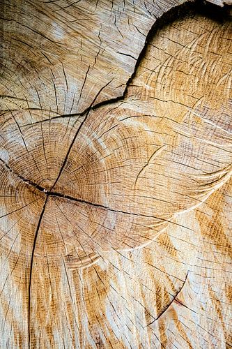 Boomsnoei en abstracte structuur