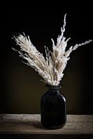 Still life plume feathers in a vase