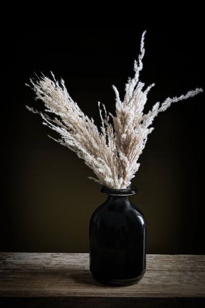 Stilleben Federn in einer Vase von Marjolein van Middelkoop
