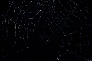 Een abstracte close-up van een spinnenweb van Wolfgang Unger