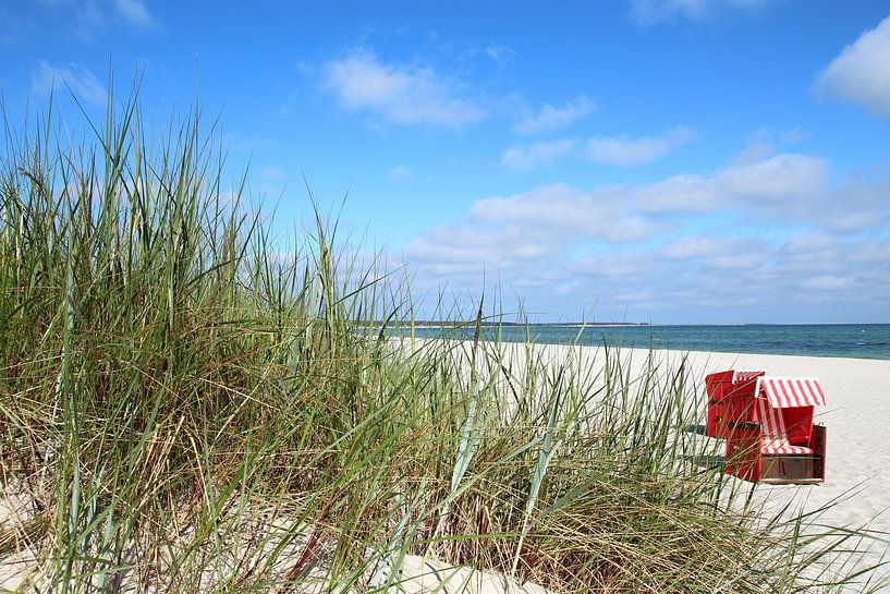 Die zwei Roten von Ostsee Bilder