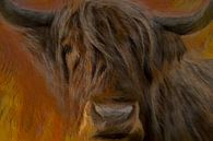Raging bull van Foto Amsterdam/ Peter Bartelings thumbnail