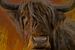 Raging bull van Foto Amsterdam/ Peter Bartelings