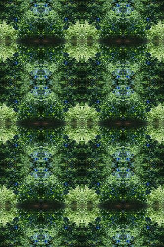 Reflection of Fern, Water and Symmetry 2