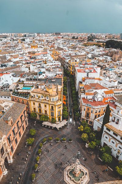Madrid by Hello Pompoyo