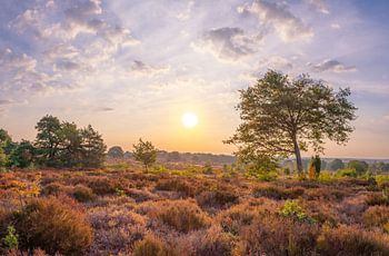 Nationaal Park Sallandse Heuvelrug, Overijssel