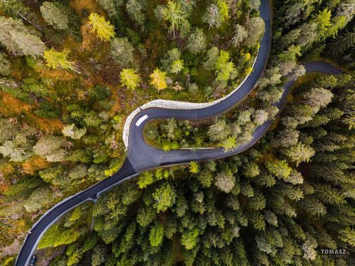 Boven de Boomtoppen (Swiss)