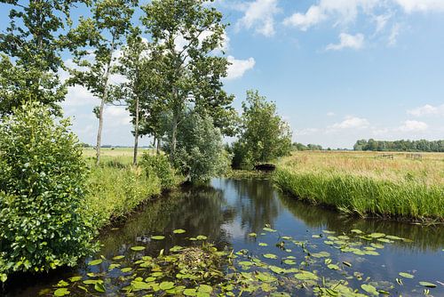 Donkse Laagten in de Alblasserwaard