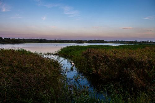 natuurgebieden in Friesland.