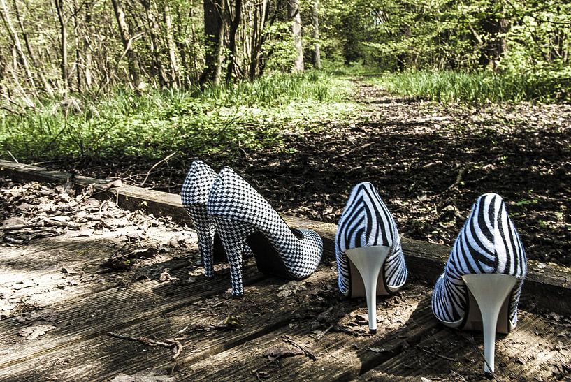 The wrong footwear I. by Norbert Sülzner
