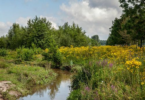 Natuurpark Roode Beek