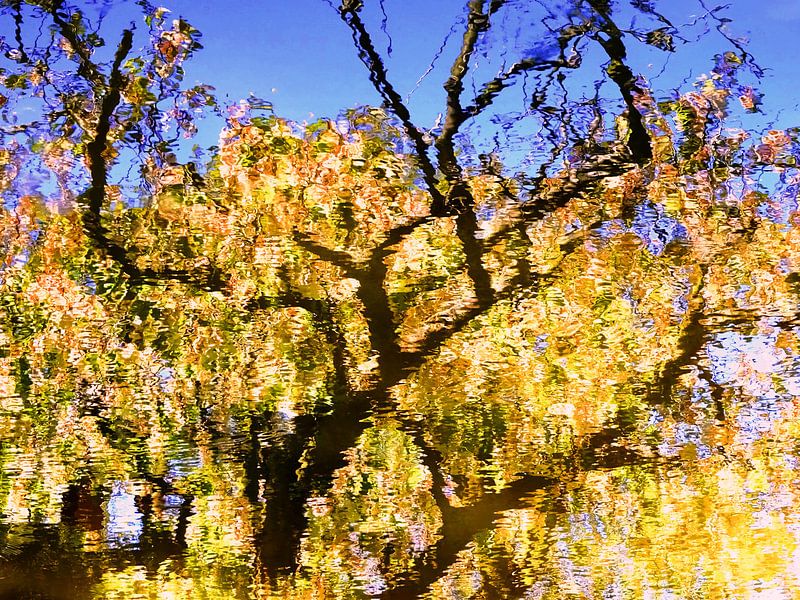 Tree Magic 120 par MoArt (Maurice Heuts)