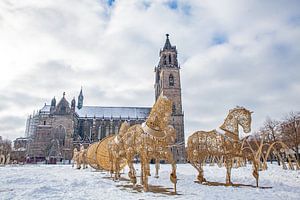 Magdeburger Dom (Sachsen-Anhalt)