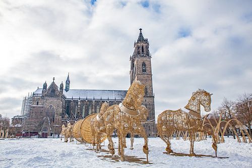 Dom van Maagdenburg (Saksen-Anhalt)