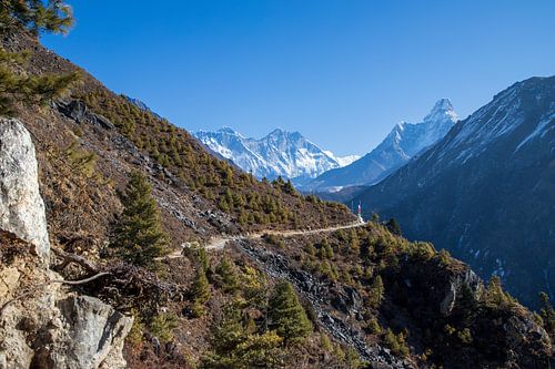 Trekking Nepal uitzicht Ama Dablam