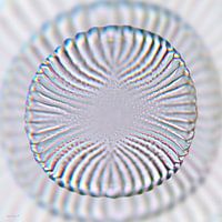 Diatomeensilber