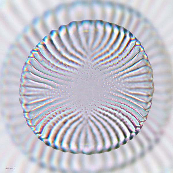 Diatomeensilber von appie bonis