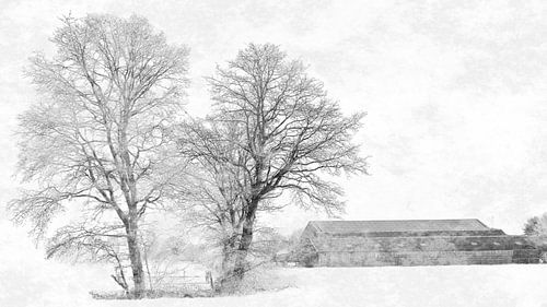 Boerderij in de mist