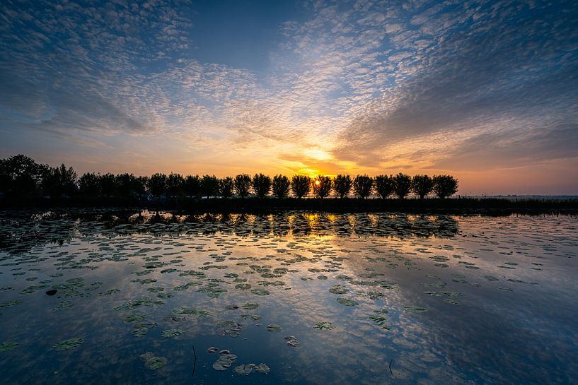 Sunrise magic by Carla Matthee