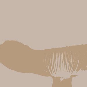 Spores in a fungus