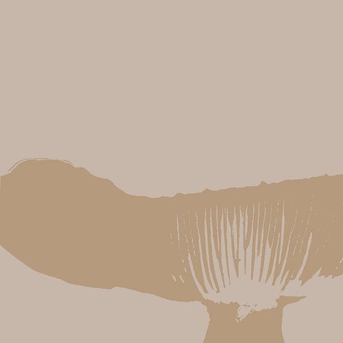 Les spores dans un champignon