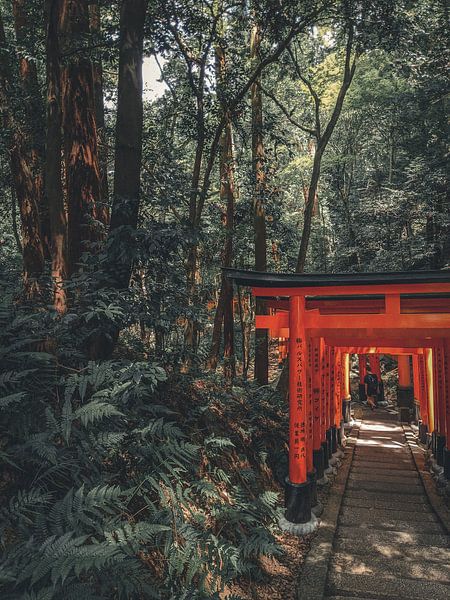 Kyoto by Hello Pompoyo