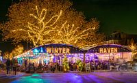 Winterhaven