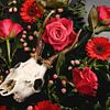 Dia de los Muertos - Herten schedel - Reebok gewei van Nikki Segers