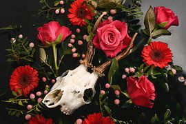 Dia de los Muertos - Crâne de cerf - Bois de Reebok sur Nikki Segers