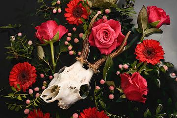 Dia de los Muertos - Herten schedel - Reebok gewei