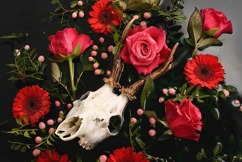 Dia de los Muertos - Crâne de cerf - Bois de Reebok sur Nikki Segers