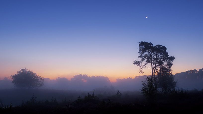 At daybreak by Lex Schulte