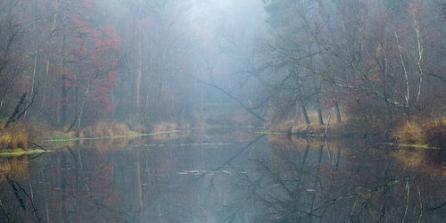 Panorama aan één van de mooie vennen van Oisterwijk op een mistige ochtend in de herfst.