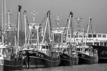 Garnalenkotters Oudeschild Texel van Ronald Timmer