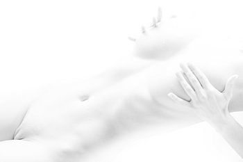 Artistic Nude of a Woman in High Key