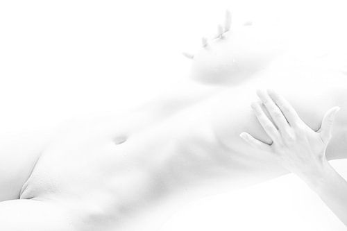 Artistiek Naakt van een Vrouw in High Key