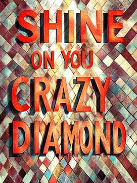 Shine on you crazy diamond van Franka Poulain