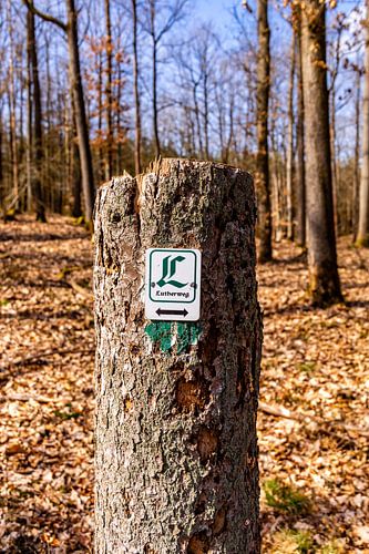 Une belle randonnée printanière à travers la magnifique région de Heldburg dans le district de Hildburghausen - Thuringe - Allemagne