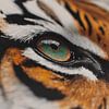 L'œil de tigre en point de mire Le pouvoir hypnotique du détail sur Eva Lee
