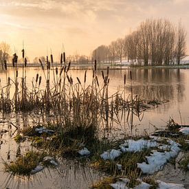 Gouden gloed kort voor zonsondergang van Ruud Morijn